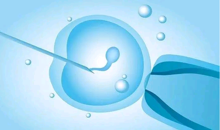 金贝供卵生殖中医院_广州金贝供卵医院|天水先天性不孕可以做试管婴儿吗，需