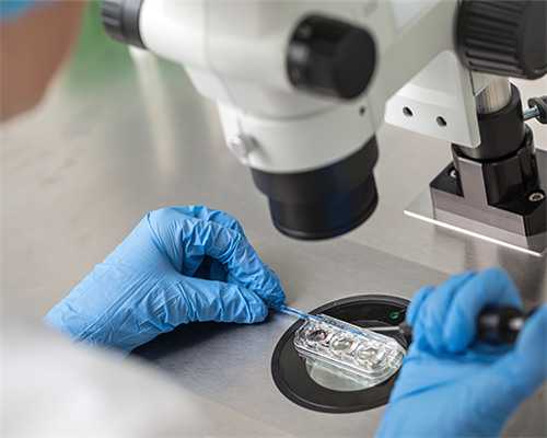 优质胚胎不等于高养囊率吗?优质胚胎养囊成功率多少?-供卵助孕医院