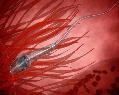 试管之母借卵_试管排队捐卵,一般试管一次能成功吗 海南试管：试管婴儿好不好