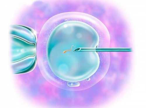 正规供卵机构,淮北助孕试管婴儿成功的策略