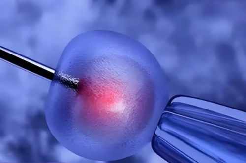 供卵孩子DNA_供卵生男孩,钟祥能做供卵试管婴儿吗？湖北省内哪些医院能做供卵