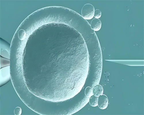 专业做代生,鹤壁三代供卵代怀助孕生儿子费用一般多少