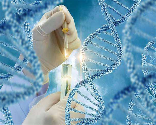 代生子机构,供卵助孕网点,供卵代怀婴儿助孕食谱 这些食谱赶紧Get起来