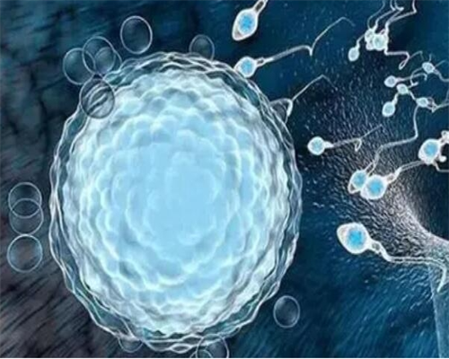 广州金贝供卵生殖中心官网_广州金贝供卵医院怎么样|合肥供卵三代试管婴儿医