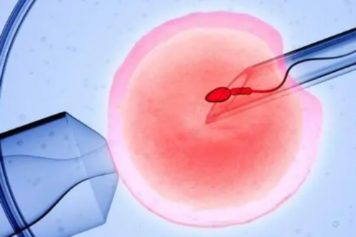 最靠谱代孕中心,心疼妻子，并不想后代遭受子宫内膜异位症的苦，他选择了安