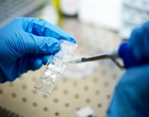 广州金贝生殖中心_广州金贝生殖中心官网|绍兴医保可以报销做试管婴儿的全部