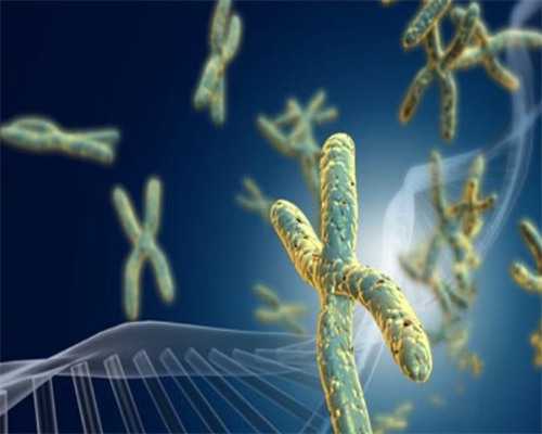 助孕官网网址,北京口碑好的助孕包性别-正规试管机构