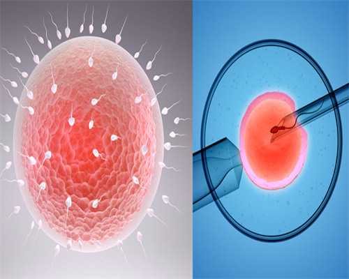 供卵试管机构_借卵试管多钱,经历多次试管失败，赴泰试管终怀孕
