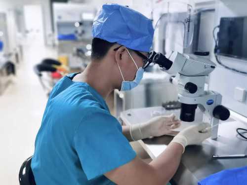 权威代孕公司,怎么样才能成功助孕（助孕的方法及注意事项）