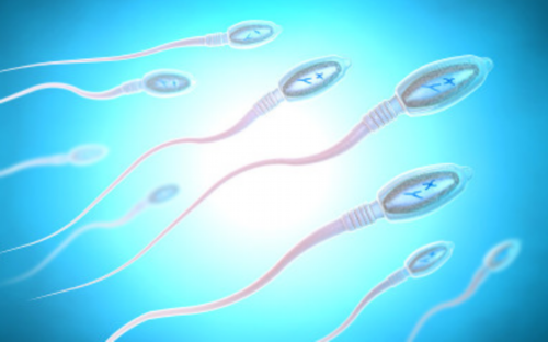 代生价格表,滁州助孕试管婴儿自助去怎么样