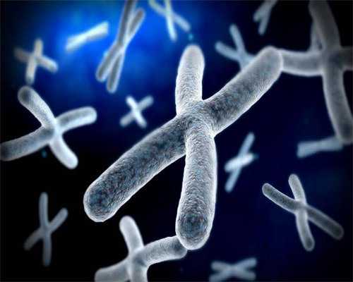 供卵是什么样子_试管供卵供卵,【天津供卵机构卵巢早衰做供卵】我怀儿子的征