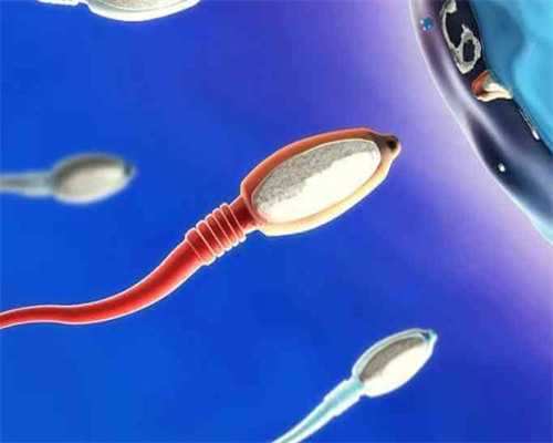 
              吉林医药学院附属医院可以做供卵试管婴儿吗？
            