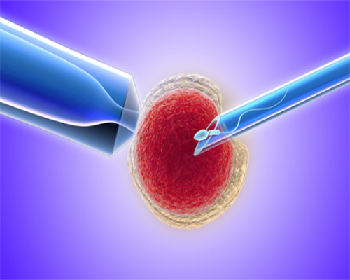 供卵选性别机构_供卵合法,朔州供卵试管,供卵试管今天测出