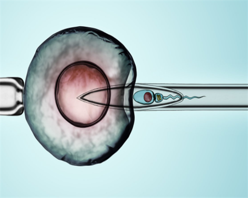 国内试管供卵_做试管供卵违法吗,北京哪家供卵机构合法（怎么辨别供卵机构是