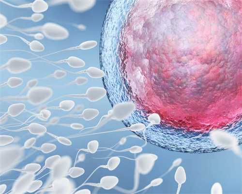 供卵助孕生儿子_哪里有供卵医院,正规的供卵医院在哪里,供卵试管正规医院在哪