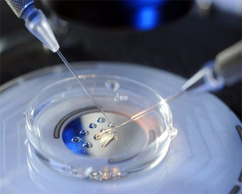 试管代孕三大医院,助孕助生医院哪家好?北京助孕助生试管婴儿医院排名