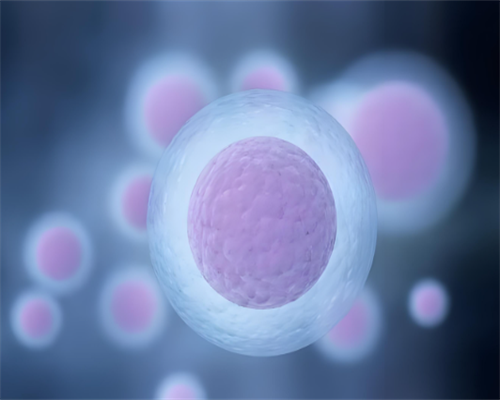 代孕产子靠谱吗,做滁州助孕试管婴儿女人会遭罪吗