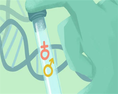 做三代试管费用_做三代试管费用,试管婴儿意外早产,试管婴儿一般会早产吗