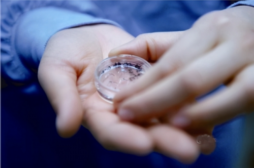 供卵试管生男孩_供卵需要多少钱,北京三代供卵试管医院推荐，附三代供卵包生
