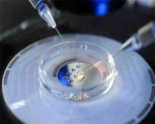 金贝捐卵试管_供卵试管费用,试管婴儿受罪吗？试管婴儿对女性有伤害吗？_试管