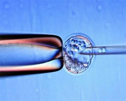 卵子库,乐山三代供卵代怀助孕供卵生孩子公司名单