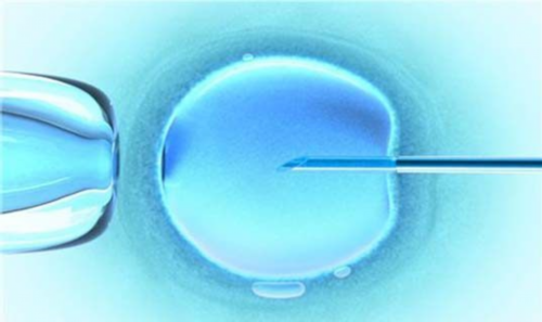 生男孩代孕套餐,2026年贵州三代试管婴儿助孕费用一览表