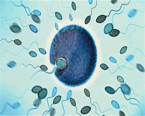 供卵哪家好_试管供卵合法,福建台湾茂盛医院供卵（台湾供卵试管医院）