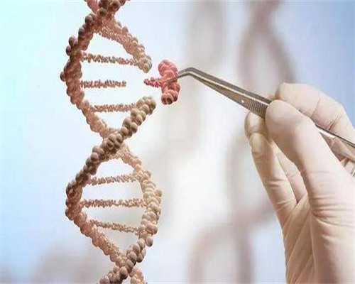 借卵试管价格_三代试管机构,[莱芜试管婴儿]做试管之前，国内试管婴儿有哪些