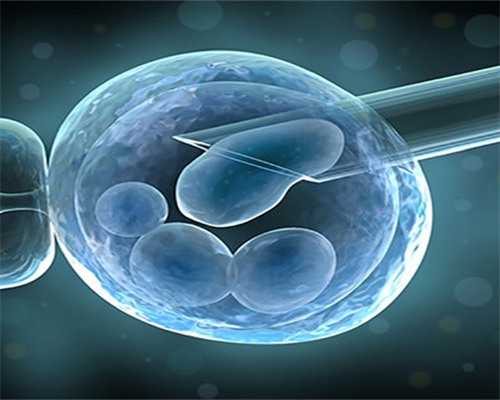 广州金贝供卵官网_金贝供卵生殖中心|杭州助孕机构带您了解一下试管移植后腹