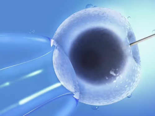 供卵试管论坛_试管供卵服务,北京医院试管成功率_四川省试管婴儿医院排名，附