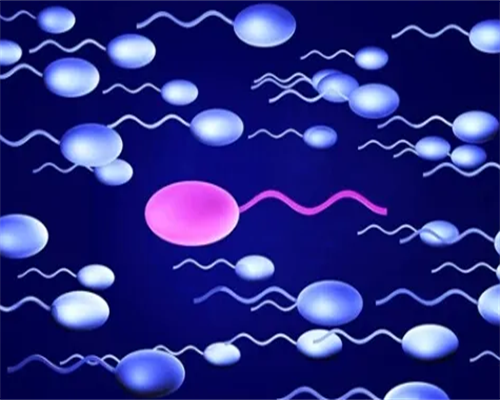 试管三代_试管包男孩吗,试管知识：金华三代试管婴儿医院.