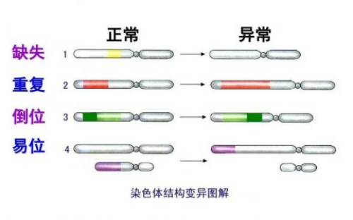 广州金贝生殖中心官网_上海金贝供卵医院|东营本地医院能不能做三代试管婴儿
