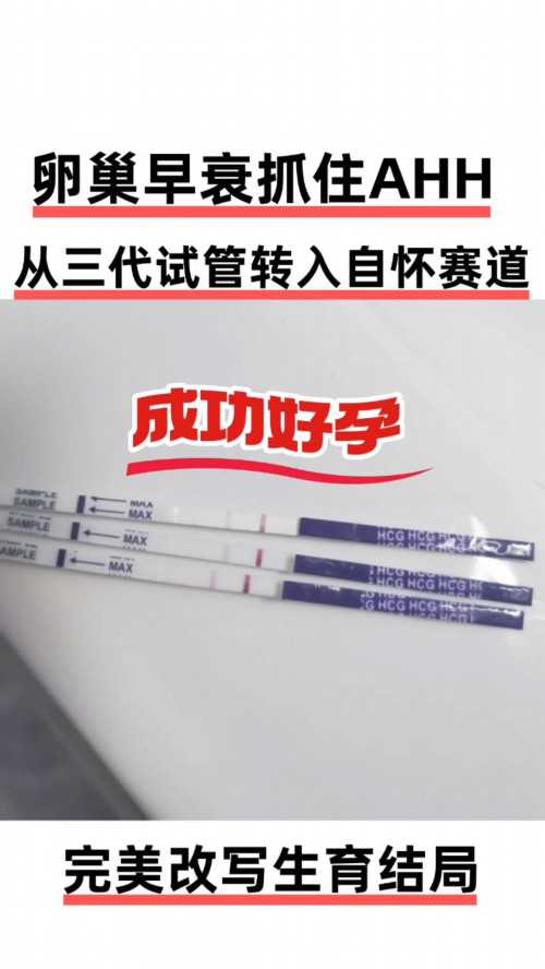 代怀孕咨询,深圳助孕试管婴儿助孕步骤是什么样的