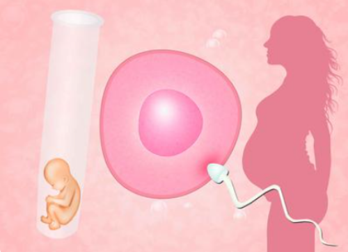 试管捐卵_试管捐卵价格,百色试管婴儿(百色市试管婴儿)