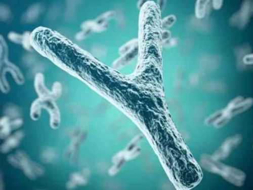 试管男孩_供精供卵试管,北京我想给别人试管_正规试管中心