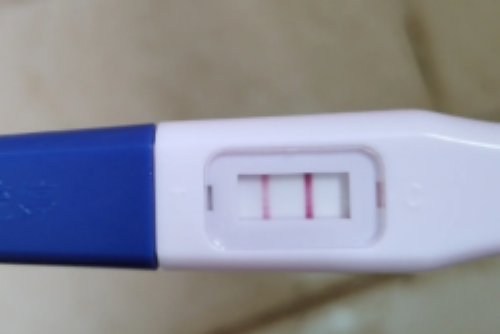 试管供卵多钱_正规供卵试管,北医三院试管进周期，附2026试管费用、成功率