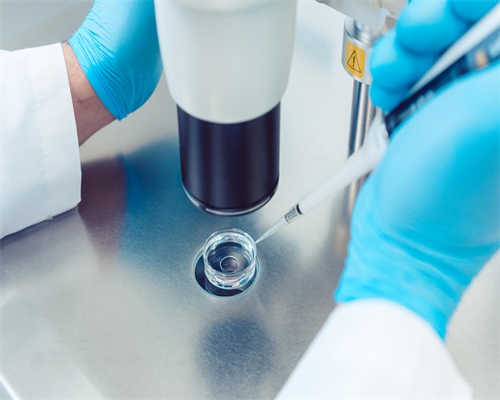 供卵试管代怀_供卵试管群,试管科普：28岁做试管成功率有多高？