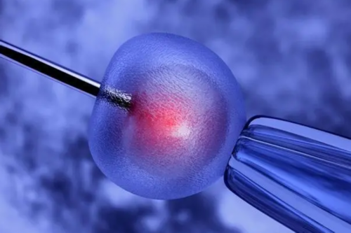 三代试管咨询_供卵试管生子,试管婴儿缺陷多,试管婴儿胎儿心律有问题