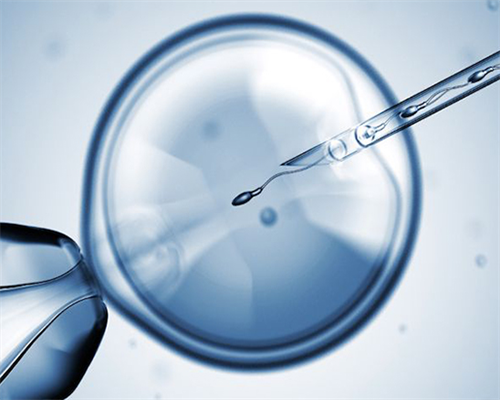 哪个供卵好,原发性不孕可以做美国试管婴儿助孕吗？