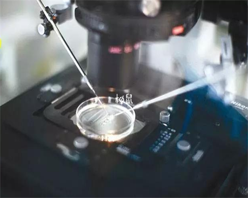 二代试管移植囊胚，生命重生的奇迹！-代怀子医院