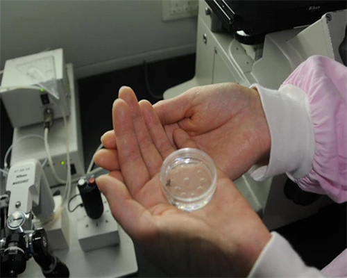 助孕机构供卵_供卵可靠吗哪里有,承德供卵试管机构怎么联系,承德哪里有三代试