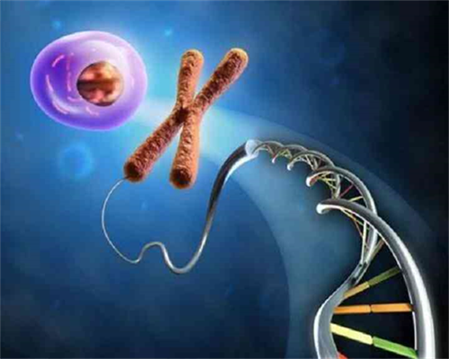 代孕生子公司,吃什么食物可以帮助孕妇降火