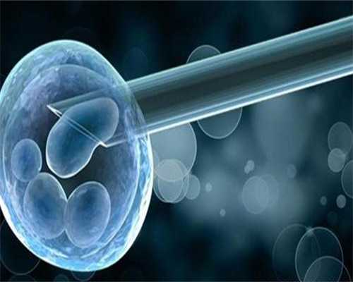 供卵试管公司_有供卵试管的吗,想到澳门做供卵试管,澳门有供卵的试管做吗