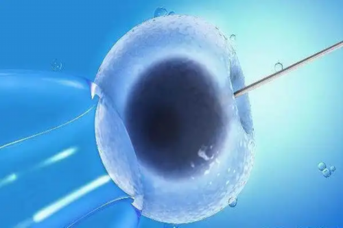 试管双胞胎_做个试管费用,河南三代试管濮阳三代试管筛查