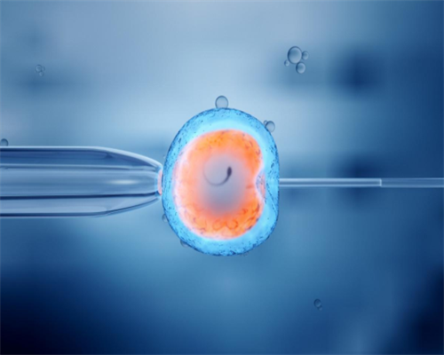 深圳地下供卵,供卵自怀被骗