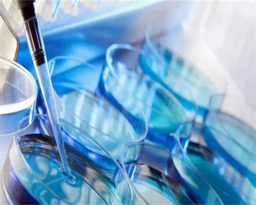 试管婴儿捐卵_三代试管风险,绥化试管婴儿同济医院试管婴儿多少钱？试管婴儿