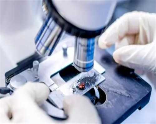 乌克兰供卵_供卵哪里可以提供,上海供卵机构试管生男孩,附供卵助孕机构一览