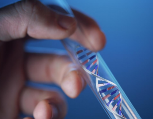 供卵成功率,北海哪里有助孕机构能供卵做试管？