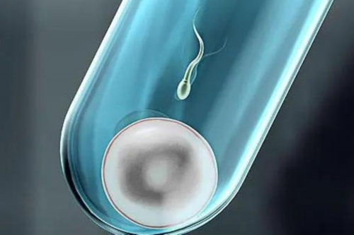 供卵一般要等多久_金贝供卵靠谱吗,【热点】西宁三代试管供卵公司