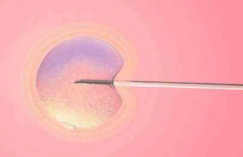 高龄试管供卵_做供卵试管助孕,试管取卵后会很难受吗，试管取卵后很疼吗